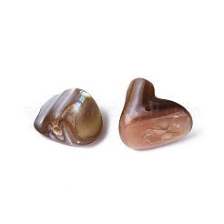 Natural Freshwater Shell Beads&nbsp;SHEL-ZX009-12