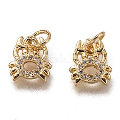 Brass Micro Pave Clear Cubic Zirconia Charms&nbsp;ZIRC-B002-48G