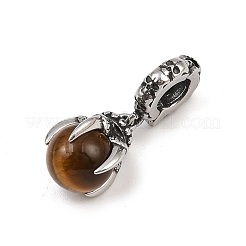 Dragon Claw 316 Surgical Stainless Steel & Round Natural Tiger Eye Pendant Decoration&nbsp;STAS-Z165-07AS-01