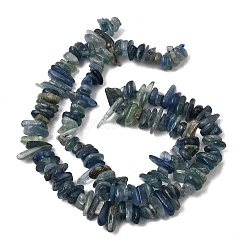 Natural Kyanite/Cyanite/Disthene Chip Beads Strands&nbsp;G-E271-78