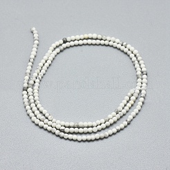 Natural Howlite Beads Strands&nbsp;G-A177-04-24