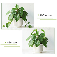 Acrylic Plant Growth Support&nbsp;AJEW-WH0695-052