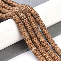 Natural Picture Jasper Beads Strands&nbsp;G-Q159-B06-01