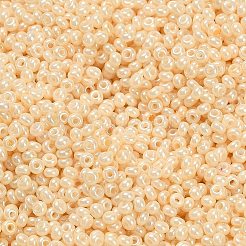 FGB 12/0 Grade A Round Glass Seed Beads&nbsp;SEED-R008-142