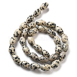 Natural Dalmatian Jasper Beads Strands&nbsp;G-B106-B20-01