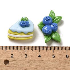 Opaque Cartoon Resin Decoden Cabochons&nbsp;RESI-G091-03