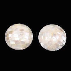 Natural White Shell Beads&nbsp;SHEL-F007-16B