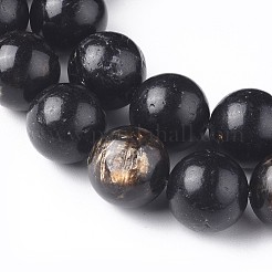Natural Biotite Beads Strands&nbsp;G-L528-06A