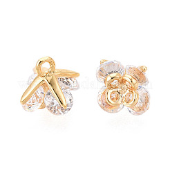 Brass Micro Pave Cubic Zirconia Charms&nbsp;KK-N263-72A-G
