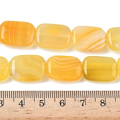 Natural Striped Agate/Banded dAgate Beads Strands&nbsp;G-B137-B01-01L