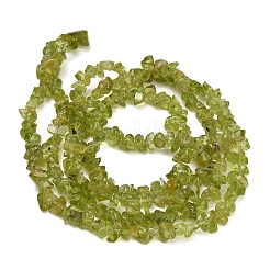 Natural Peridot Beads Strands&nbsp;GG-CBA3182-01