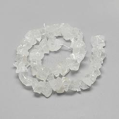 Natural Quartz Crystal Beads Strands&nbsp;G-R427-13