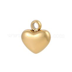 304 Stainless Steel Pendants&nbsp;STAS-OY017-43G