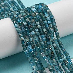 Natural Apatite Beads Strands&nbsp;G-P457-B01-14