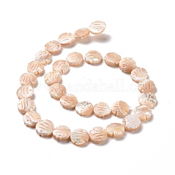 Natural Trochid Shell Beads Strands&nbsp;SSHEL-G023-16A