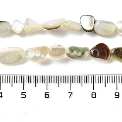 Natural Black Lip Shell Beads Strands&nbsp;SHEL-G020-04
