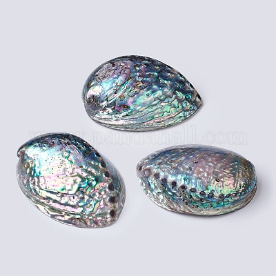 Natural Abalone Shell/Paua ShellDecoration&nbsp;SSHEL-K024-01B-1