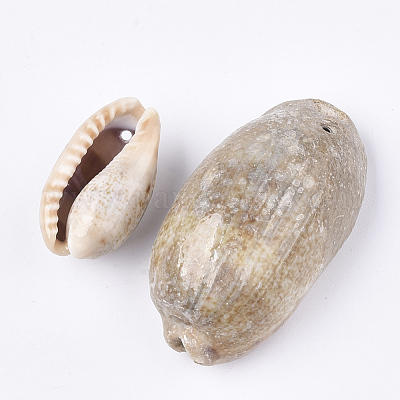 Cowrie Shell Pendants&nbsp;SSHEL-T008-27-1