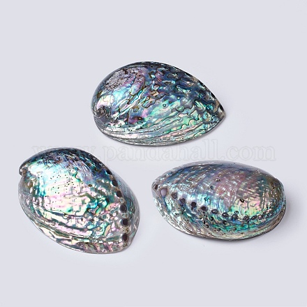 Natural Abalone Shell/Paua ShellDecoration&nbsp;SSHEL-K024-01B-1