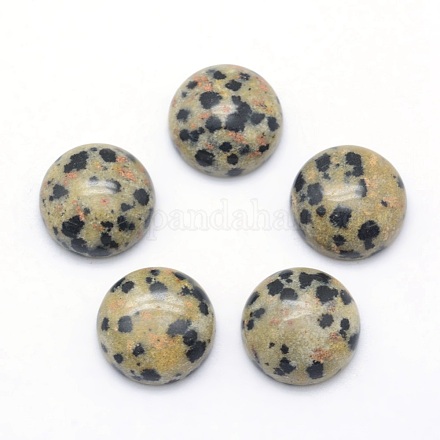 Natural Dalmatian Jasper Cabochons&nbsp;G-P393-R33-12mm-1