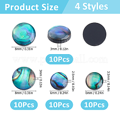 40Pcs 4 Styles Natural Abalone Shell/Paua Shell Cabochons with Enamel&nbsp;BSHE-HS0001-02