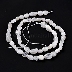 Natural Rainbow Moonstone Beads Strands&nbsp;G-G018-48