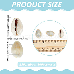 Natural Shell&nbsp;SSHEL-PH0001-36A