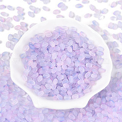 Frosted Glass Seed Beads&nbsp;SEED-N008-05G