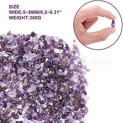 Natural Amethyst Chips Beads&nbsp;G-GA0001-19