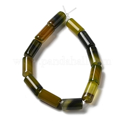 Natural Agate Beads Strands&nbsp;G-H295-E01-12
