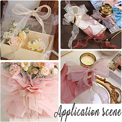 Polyester Organza Ribbons&nbsp;SRIB-WH20020-003A-04