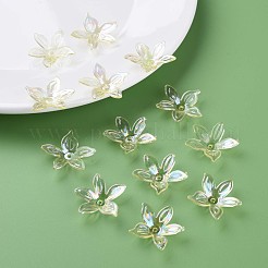 Transparent Acrylic Beads&nbsp;MACR-S373-102-C06