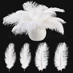 20Pcs 2 Styles Ostrich Feather Costume Accessories&nbsp;FIND-TA0005-96