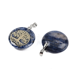 Natural Blue Spot Jasper Flat Round Pendants&nbsp;G-Q188-01P-12