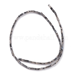 Natural Black Larvikite Bead Strands&nbsp;G-C301-06