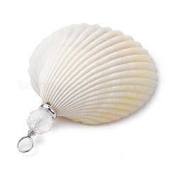 4 Styles Natural Shell Big Pendants&nbsp;PALLOY-JF02637