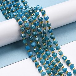 Natural Apatite Beads Strands&nbsp;G-P463-29