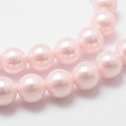 Shell Pearl Bead Strands&nbsp;BSHE-L025-06-8mm