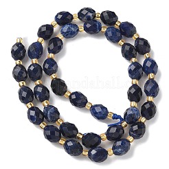 Natural Sodalite Beads Strands&nbsp;G-F809-A19-01B