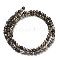 Natural Astroite Jasper Beads Strands&nbsp;G-F814-A01-4mm