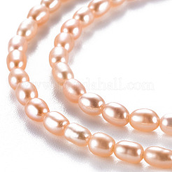 Natural Cultured Freshwater Pearl Beads Strands&nbsp;PEAR-N012-02C