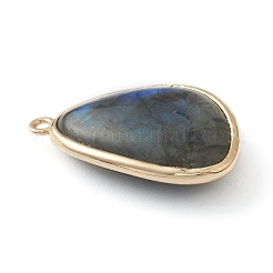 Natural Labradorite Pendants&nbsp;G-B009-05G