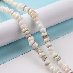 Natural Cultured Freshwater Shell Beads Strands&nbsp;SHEL-F002-01D