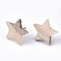 Transparent Resin & Wood Stud Earrings&nbsp;EJEW-N017-001A-D08