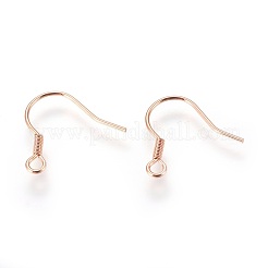 304 Stainless Steel Earrings Hooks&nbsp;STAS-P227-06RG