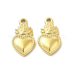 Ion Plating(IP) 304 Stainless Steel Charms&nbsp;STAS-F284-14G