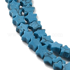 Dyed Synthetic Turquoise Beads Strands&nbsp;G-G085-B31-01