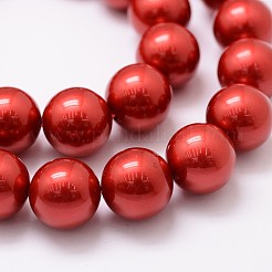 Shell Pearl Bead Strands&nbsp;BSHE-L026-08-12mm