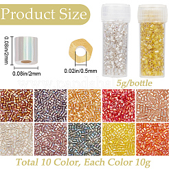 100g 10 colors 11/0 Two Cut Round Hole Glass Seed Beads&nbsp;SEED-SC0001-25B
