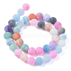 Natural Weathered Agate Beads Strands&nbsp;G-L534-10-10mm